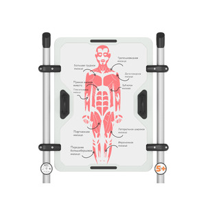 Интерактивная панель «IP-01.88»